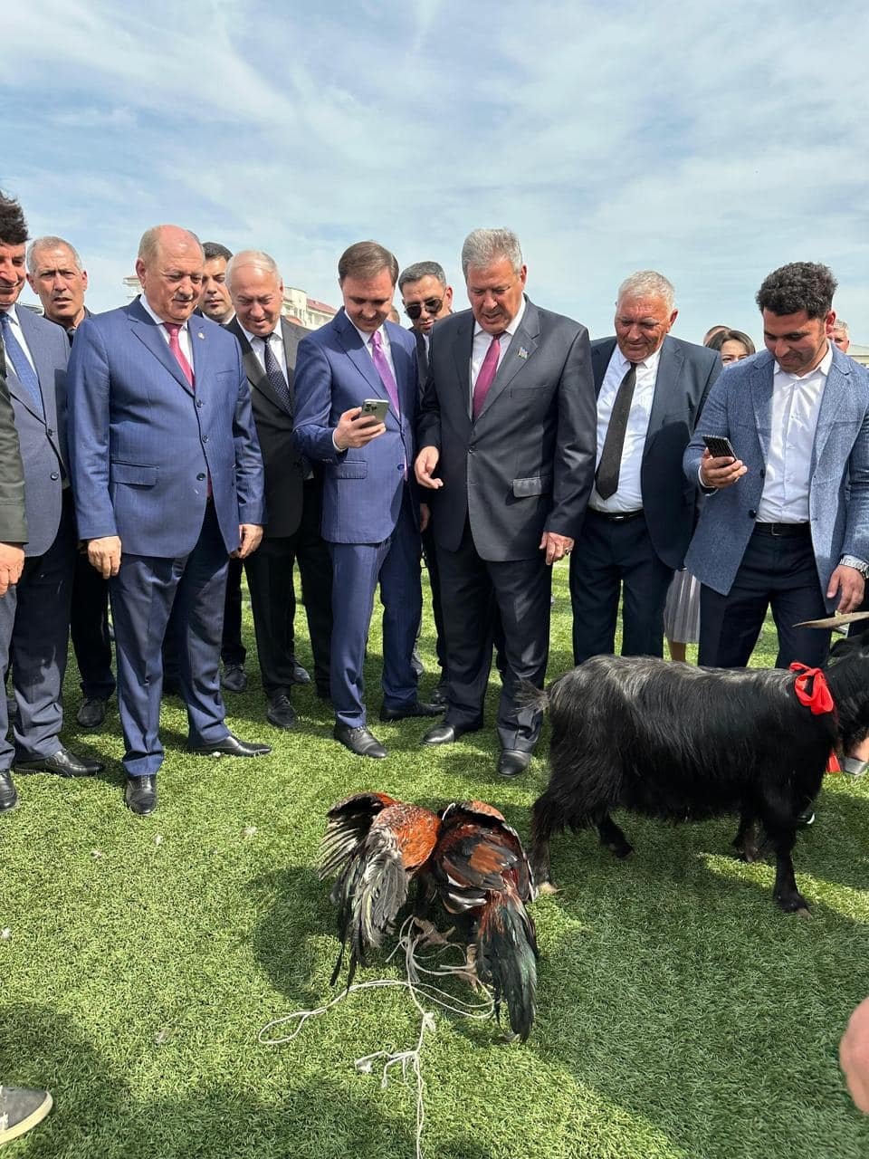 Beyləqanın İcra başçısı bacısı oğlu ilə birlikdə xoruz döyüşdürdü - FOTO