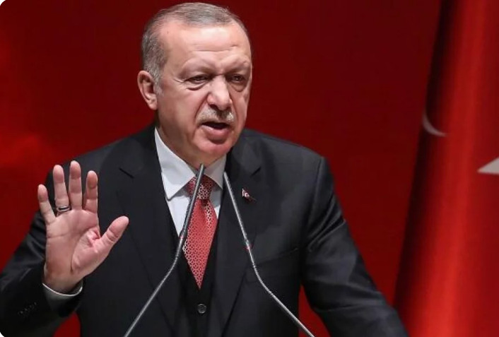 Ərdoğanı təhqir edən Türkiyə gözəli saxlanıldı - FOTO