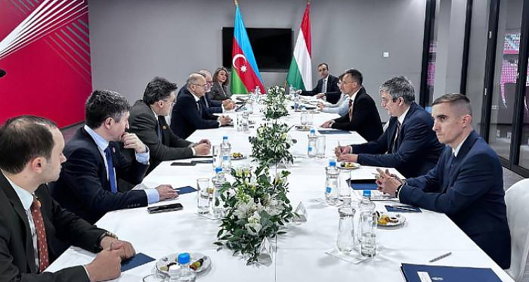 Azərbaycan və Macarıstan Avropada enerji təhlükəsizliyi məsələsini müzakirə edib