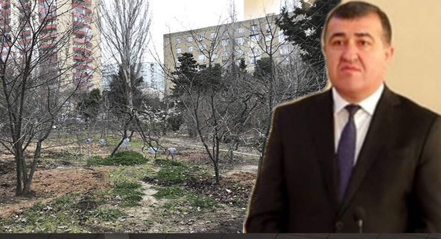 Xətaidə yenidən ağaclar kəsiləcək və obyekt tikiləcək?