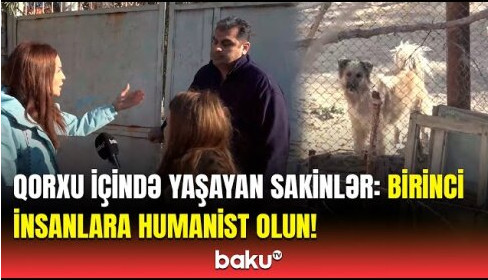 Mərdəkan sakinləri qorxu içində: "Gecələr yata bilmirik" VİDEO