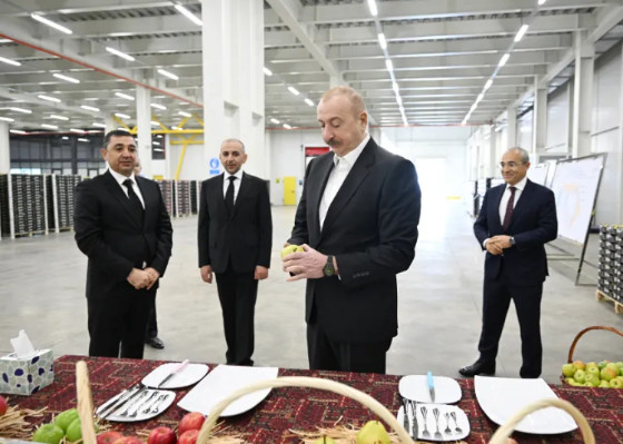 Prezident bağçılıq və soyuducu anbar kompleksinin fəaliyyəti ilə tanış oldu - FOTO