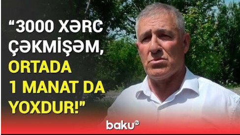 Təsərrüfatlara dəyən ziyan qarşılanacaq? - Sahibkarlar üçün çıxış yolu VİDEO