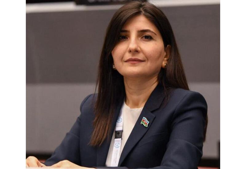 Prezident İlham Əliyevin Çin səfəri Orta Dəhliz, enerji və rəqəmsal sahələrdə əməkdaşlıq üçün yeni imkanlar açır - Sevil Mikayılova