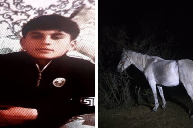 Xaçmazda yeniyetmə atı ilə birgə bataqlıqda boğuldu-DETALLAR..