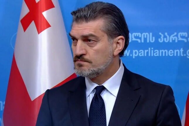 Gürcüstan Prezidenti Azərbaycana rəsmi səfərə gəlib