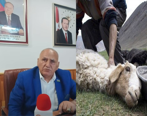 Qida Agentliyinin işini ETSN-nin 3 saylı Şirvan Regional İdarəsi gördü