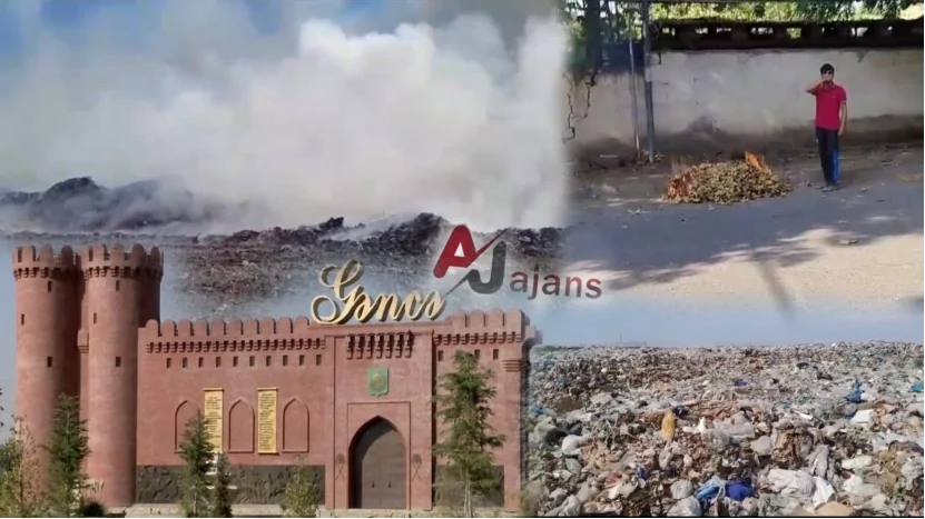 GƏNCƏDƏ ağacların “soyqırımı”- Küçələrdə od vurulan ZİBİLLƏR…