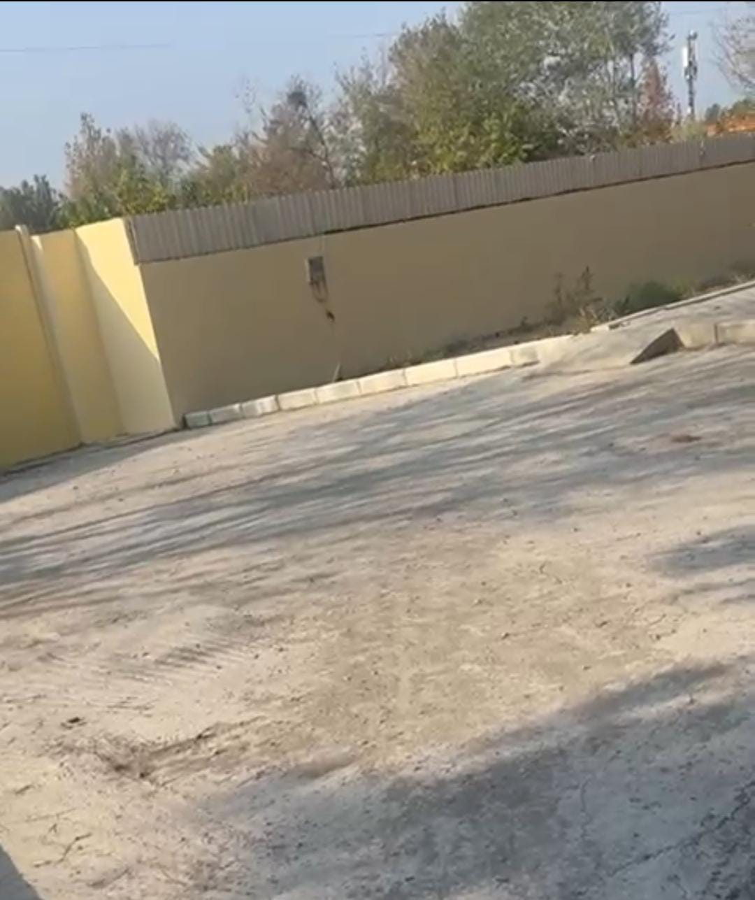 Şirvanda İcra başçısının qanunsuz kəsdirdiyi ağaclar 4 aydır öz həllini tapmır. Kimə müraciət edim cənab,  Prezident? 